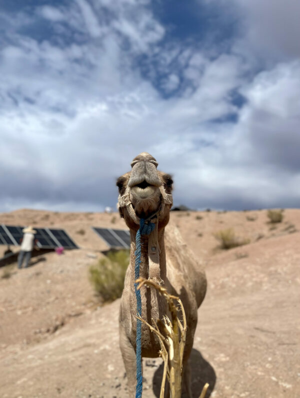 Marrakech, the other city